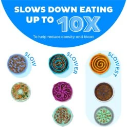 Outward Hound Stainless Steel Fun Slow Feeder Dog Bowl 13 Outward Hound Stainless Steel Fun Slow Feeder Dog Bowl -Pet Dog Supply Store 684942 PT3. AC SS1800 V1694439620