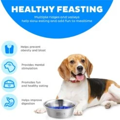 Outward Hound Stainless Steel Fun Slow Feeder Dog Bowl 15 Outward Hound Stainless Steel Fun Slow Feeder Dog Bowl -Pet Dog Supply Store 684942 PT5. AC SS1800 V1694286101