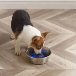 Outward Hound Stainless Steel Fun Slow Feeder Dog Bowl 17 Outward Hound Stainless Steel Fun Slow Feeder Dog Bowl -Pet Dog Supply Store 684942 PT7. AC SS1800 V1694439666