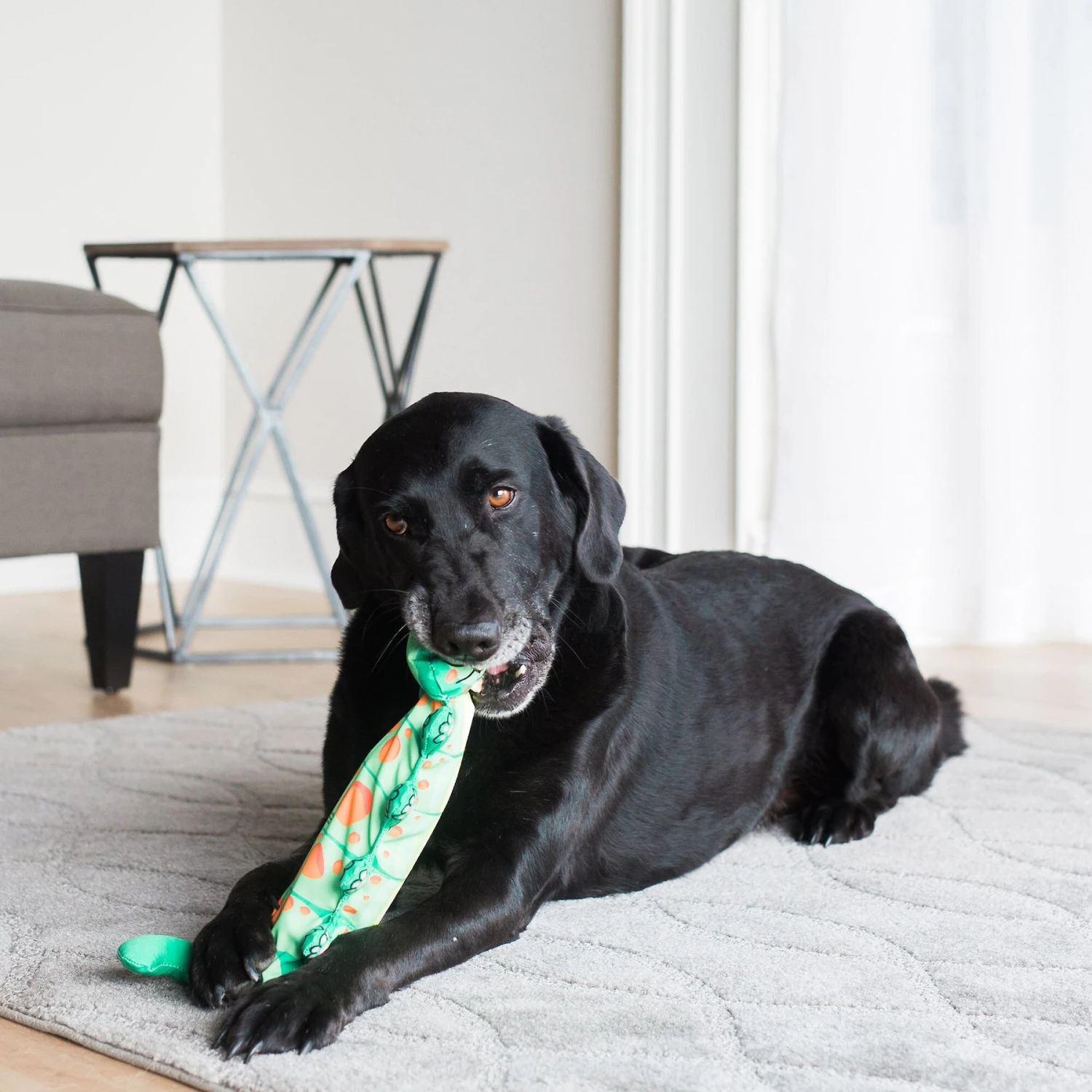 Fat Cat Water Bottle Crunchers Dog Toy, Character Varies 5 Fat Cat Water Bottle Crunchers Dog Toy, Character Varies - Image 3