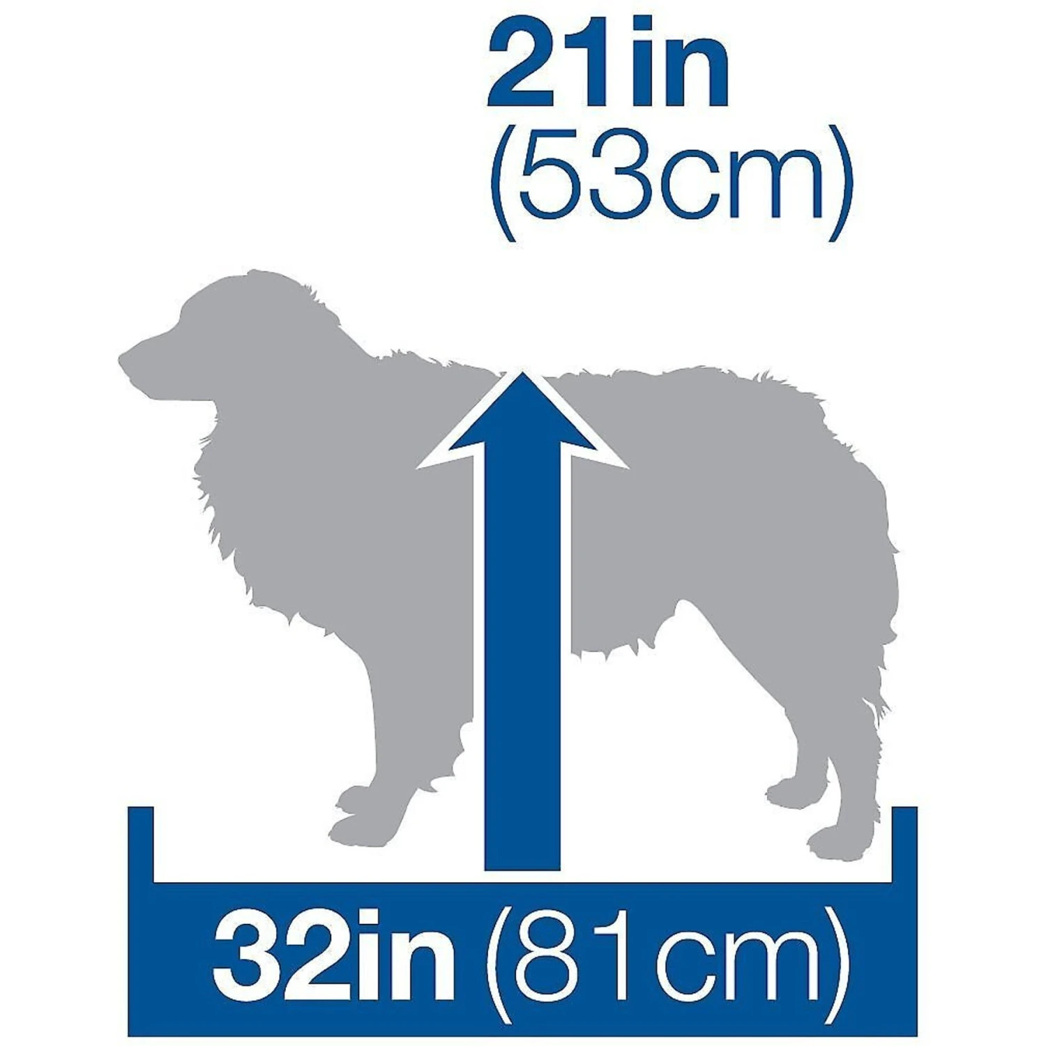 Petmate Ultra Vari Dog & Cat Kennel 7 Petmate Ultra Vari Dog & Cat Kennel - Image 5