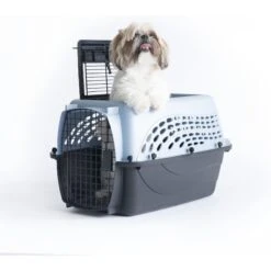 Petmate Two Door Top Load Dog & Cat Kennel 14 Petmate Two Door Top Load Dog & Cat Kennel -Pet Dog Supply Store 68695 PT5. AC SS1800 V1553876549