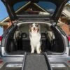 PetSafe Happy Ride Foldable Dog Car Ramp 1 PetSafe Happy Ride Foldable Dog Car Ramp -Pet Dog Supply Store 68759 MAIN. AC SS1800 V1646091136