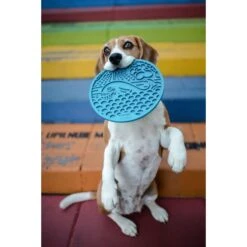 SodaPup Whale Dog Lick Mat, Blue, Large 9 SodaPup Whale Dog Lick Mat, Blue, Large -Pet Dog Supply Store 690542 PT2. AC SS1800 V1667519309
