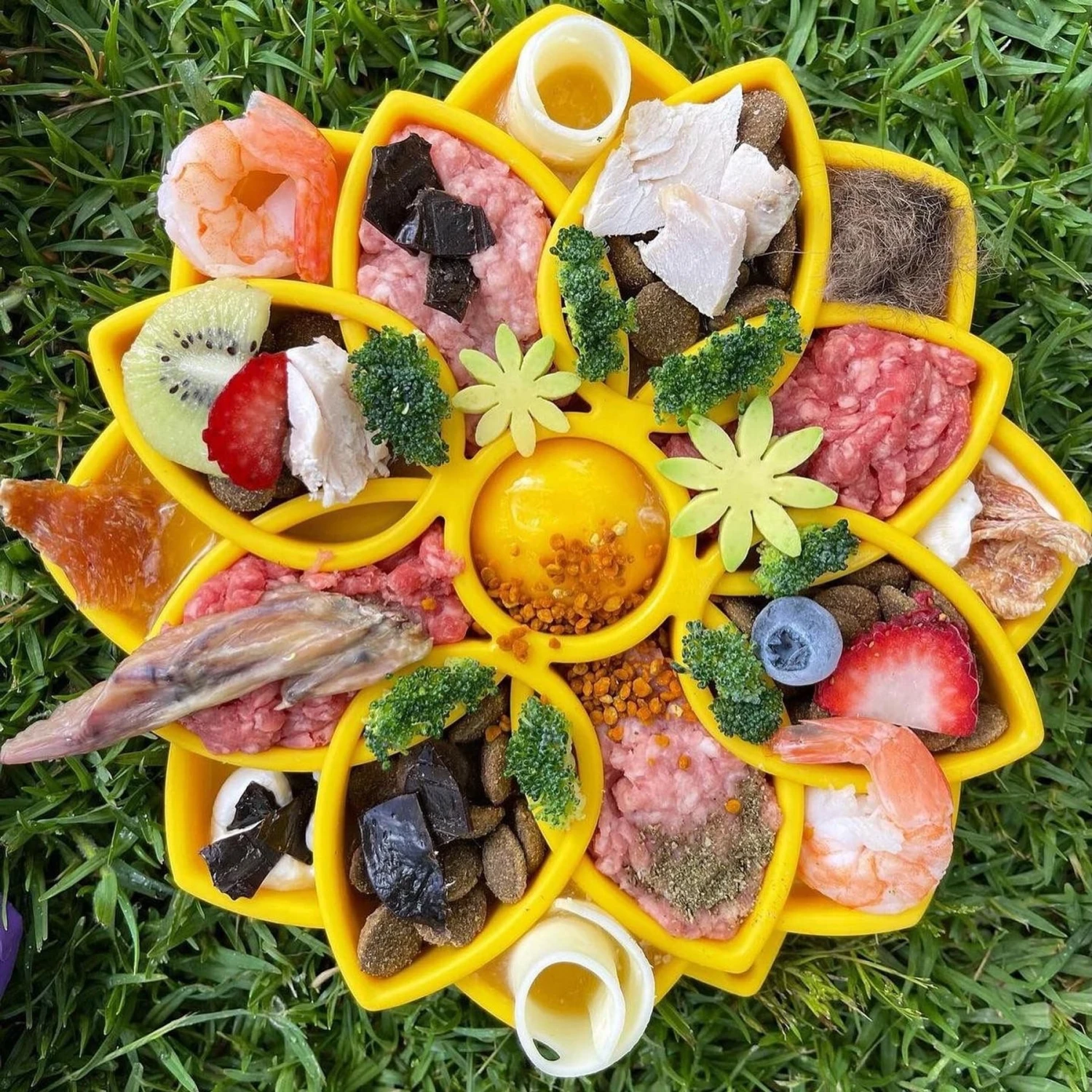 SodaPup Mandala Shallow Slow Dog Feeder, Large 5 SodaPup Mandala Shallow Slow Dog Feeder, Large - Image 3