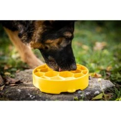 SodaPup Honeycomb Slow Feeder Dog Bowl, Yellow, Large 12 SodaPup Honeycomb Slow Feeder Dog Bowl, Yellow, Large -Pet Dog Supply Store 690574 PT3. AC SS1800 V1667519660