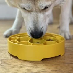 SodaPup Honeycomb Slow Feeder Dog Bowl, Yellow, Large 14 SodaPup Honeycomb Slow Feeder Dog Bowl, Yellow, Large -Pet Dog Supply Store 690574 PT5. AC SS1800 V1667518869
