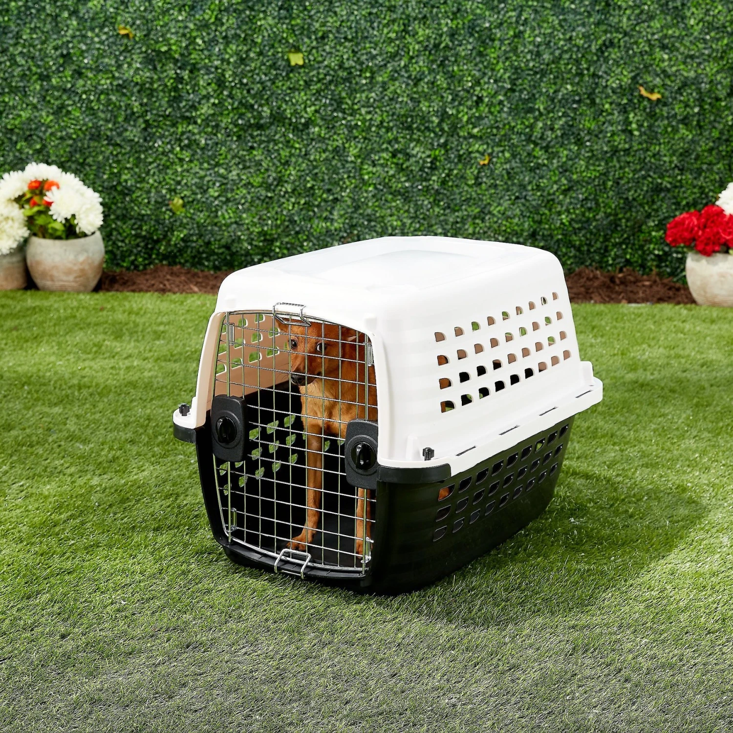 Petmate Compass Dog Kennel 3 Petmate Compass Dog Kennel