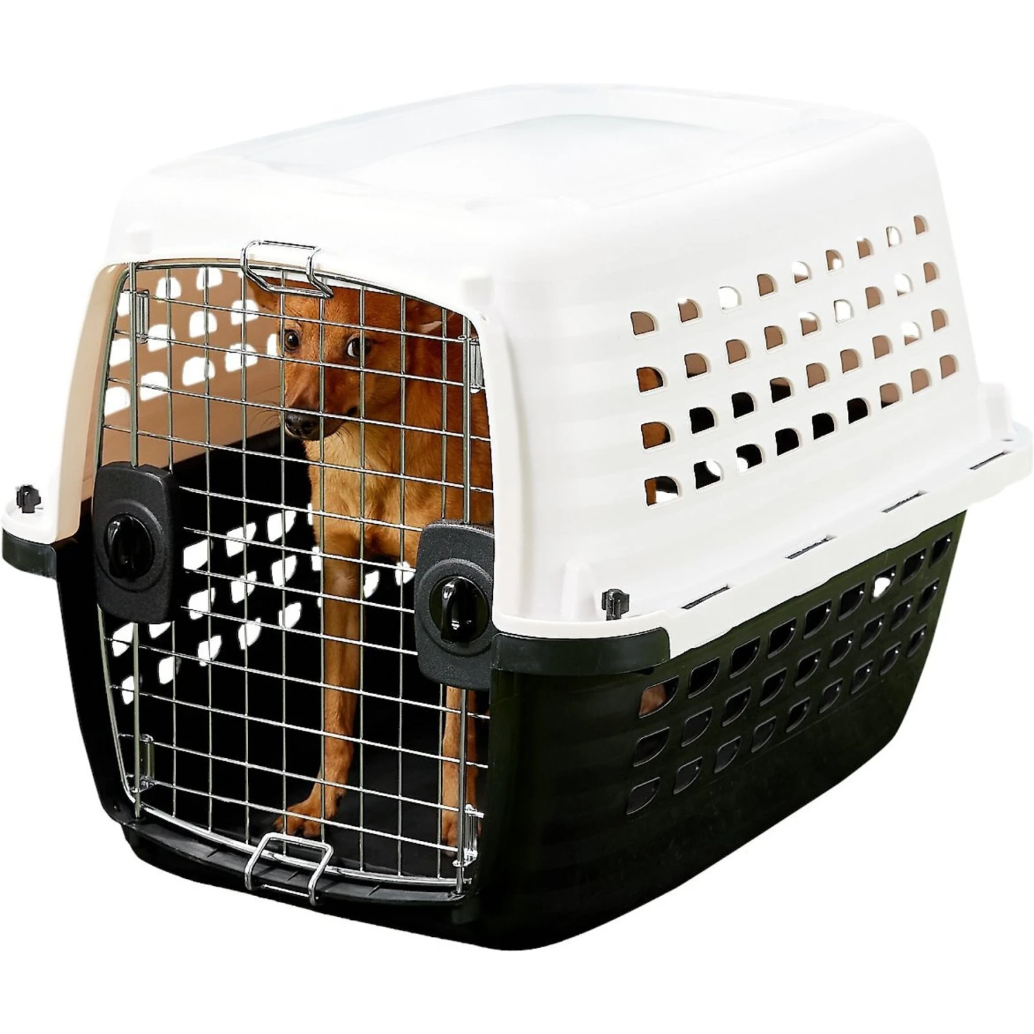 Petmate Compass Dog Kennel 6 Petmate Compass Dog Kennel - Image 4