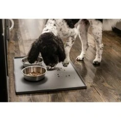 Leashboss Splash Tall Lip Dog Food Mat 19 Leashboss Splash Tall Lip Dog Food Mat -Pet Dog Supply Store 694894 PT8. AC SS1800 V1669906902