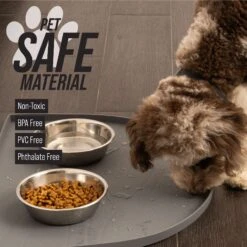 Leashboss Silicone Water Fountain Mat -Pet Dog Supply Store 694990 PT2. AC SS1800 V1682515733