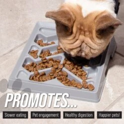 Leashboss Flat Face Slow Feeder Dog Bowl, Small/Medium -Pet Dog Supply Store 695078 PT3. AC SS1800 V1701379397