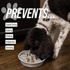 Leashboss Raised Pet Feeders Slow Feed Dog Bowl 10 Leashboss Raised Pet Feeders Slow Feed Dog Bowl -Pet Dog Supply Store 695118 PT2. AC SS1800 V1669906553