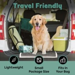 Bark & Clean Premium Activated Charcoal Traveller's Dog Potty Pad -Pet Dog Supply Store 695822 PT4. AC SS1800 V1667518822