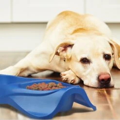 Van Ness Lightweight Double Plastic Dog & Cat Dish -Pet Dog Supply Store 70458 PT2. AC SS1800 V1628558778