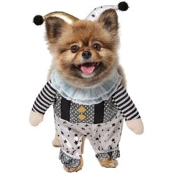 Frisco Front Walking Glitter Clown Dog & Cat Costume 13 Frisco Front Walking Glitter Clown Dog & Cat Costume -Pet Dog Supply Store 707542 PT2. AC SS1800 V1689351699