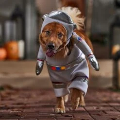 Frisco Front Walking LED Astronaut Dog & Cat Costume -Pet Dog Supply Store 707630 PT7. AC SS1800 V1689278700