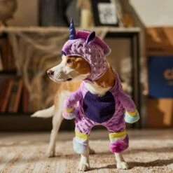 Frisco Front Walking Unicorn Dog & Cat Costume -Pet Dog Supply Store 707678 PT7. AC SS1800 V1689355019