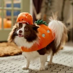 Frisco Furry Dinosaur Dog & Cat Costume 16 Frisco Furry Dinosaur Dog & Cat Costume -Pet Dog Supply Store 708190 PT7. AC SS1800 V1689278373