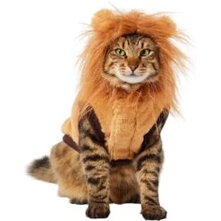 Frisco Lion Love Dog & Cat Costume -Pet Dog Supply Store 708318 PT2. AC SS1800 V1689341486