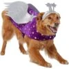 Frisco Shooting Stars Dog & Cat Costume -Pet Dog Supply Store 708614 MAIN. AC SS1800 V1689340940