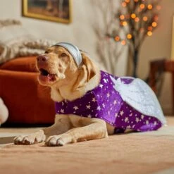 Frisco Shooting Stars Dog & Cat Costume 16 Frisco Shooting Stars Dog & Cat Costume -Pet Dog Supply Store 708614 PT7. AC SS1800 V1689278699