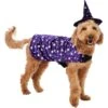 Frisco Cosmic Witch Dog & Cat Costume -Pet Dog Supply Store 708982 MAIN. AC SS1800 V1689282565