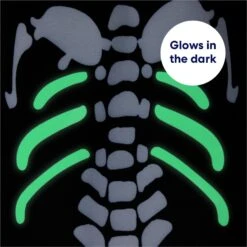 Frisco Glow In The Dark Skeleton Dog & Cat Costume -Pet Dog Supply Store 709038 PT5. AC SS1800 V1689340910