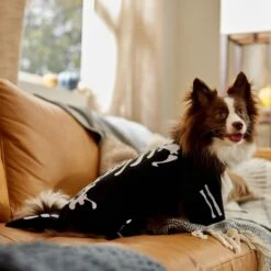 Frisco Glow In The Dark Skeleton Dog & Cat Costume -Pet Dog Supply Store 709038 PT7. AC SS1800 V1689350988