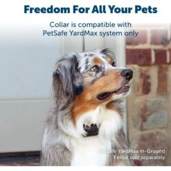 PetSafe YardMax Extra Receiver Collar For In-Ground Fence System -Pet Dog Supply Store 70918 PT2. AC SS1800 V1685631267