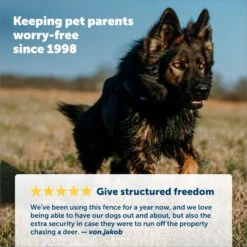 PetSafe YardMax Extra Receiver Collar For In-Ground Fence System -Pet Dog Supply Store 70918 PT3. AC SS1800 V1685629555