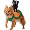 Frisco Pumpkin Cat Ride-On Dog & Cat Costume -Pet Dog Supply Store 709294 MAIN. AC SS1800 V1689270833