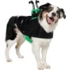 Frisco Witch Cauldron Ride-On Dog & Cat Costume -Pet Dog Supply Store 709494 MAIN. AC SS1800 V1689270917