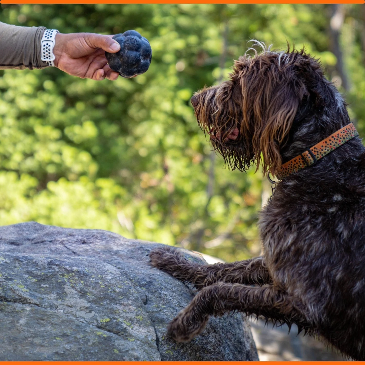 Monster K9 Dog Toys Ultra Durable Tumbler Interactive Dog Toy, Black 9 Monster K9 Dog Toys Ultra Durable Tumbler Interactive Dog Toy, Black - Image 7