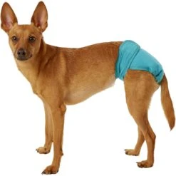 Simple Solution Washable Female Dog Diaper 10 Simple Solution Washable Female Dog Diaper -Pet Dog Supply Store 71153 PT2. AC SS1800 V1558360635