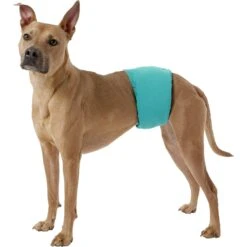 Simple Solution Washable Male Dog Wrap -Pet Dog Supply Store 71170 PT2. AC SS1800 V1558360736