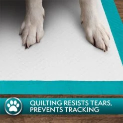 Simple Solution Original Training Pads, 23" X 24" -Pet Dog Supply Store 71191 PT7. AC SS1800 V1567777055