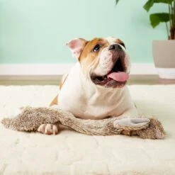 Ethical Pet Skinneeez Forest Series Rabbit Stuffing-Free Squeaky Plush Dog Toy -Pet Dog Supply Store 71338 PT7. AC SS1800 V1527093123