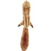 Ethical Pet Skinneeez Forest Series Squirrel Stuffing-Free Squeaky Plush Dog Toy 1 Ethical Pet Skinneeez Forest Series Squirrel Stuffing-Free Squeaky Plush Dog Toy -Pet Dog Supply Store 71344 MAIN. AC SS1800 V1527093135