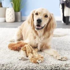 Ethical Pet Skinneeez Forest Series Squirrel Stuffing-Free Squeaky Plush Dog Toy -Pet Dog Supply Store 71344 PT7. AC SS1800 V1527093148