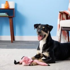 Ethical Pet Skinneeez Exotic Series Pink Flamingo Stuffing-Free Squeaky Plush Dog Toy 11 Ethical Pet Skinneeez Exotic Series Pink Flamingo Stuffing-Free Squeaky Plush Dog Toy -Pet Dog Supply Store 71468 PT7. AC SS1800 V1527093265