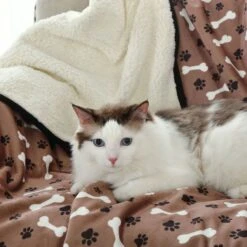 HappyCare Textiles Advanced Pets Waterproof Cat & Dog Blanket, 50x60-in -Pet Dog Supply Store 715854 PT4. AC SS1800 V1669663044