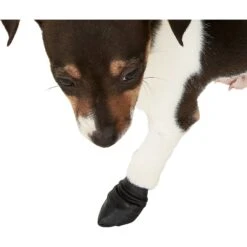 Pawz Waterproof Dog Boots, Black -Pet Dog Supply Store 71806 PT5. AC SS1800 V1536077794