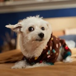 Frisco Cozy Plush Fleece Dog & Cat PJs, Mushrooms 16 Frisco Cozy Plush Fleece Dog & Cat PJs, Mushrooms -Pet Dog Supply Store 718950 PT7. AC SS1800 V1692378098