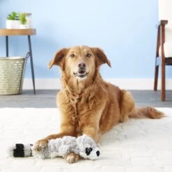 KONG Scrunch Knots Raccoon Dog Toy 9 KONG Scrunch Knots Raccoon Dog Toy -Pet Dog Supply Store 71943 PT1. AC SS1800 V1534452389