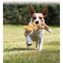 KONG Scrunch Knots Raccoon Dog Toy 12 KONG Scrunch Knots Raccoon Dog Toy -Pet Dog Supply Store 71943 PT6. AC SS1800 V1603155978