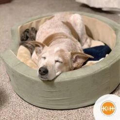 K&H Pet Products Thermo-Snuggly Sleeper Heated Dog Bed 14 K&H Pet Products Thermo-Snuggly Sleeper Heated Dog Bed -Pet Dog Supply Store 72233 PT3. AC SS1800 V1698868498