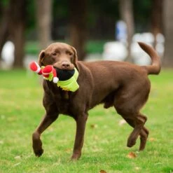 Fetch For Pets Warner Bros Marvin The Martian Large Big Head Plush Squeaky Dog Toy 11 Fetch For Pets Warner Bros Marvin The Martian Large Big Head Plush Squeaky Dog Toy -Pet Dog Supply Store 722494 PT4. AC SS1800 V1679514800