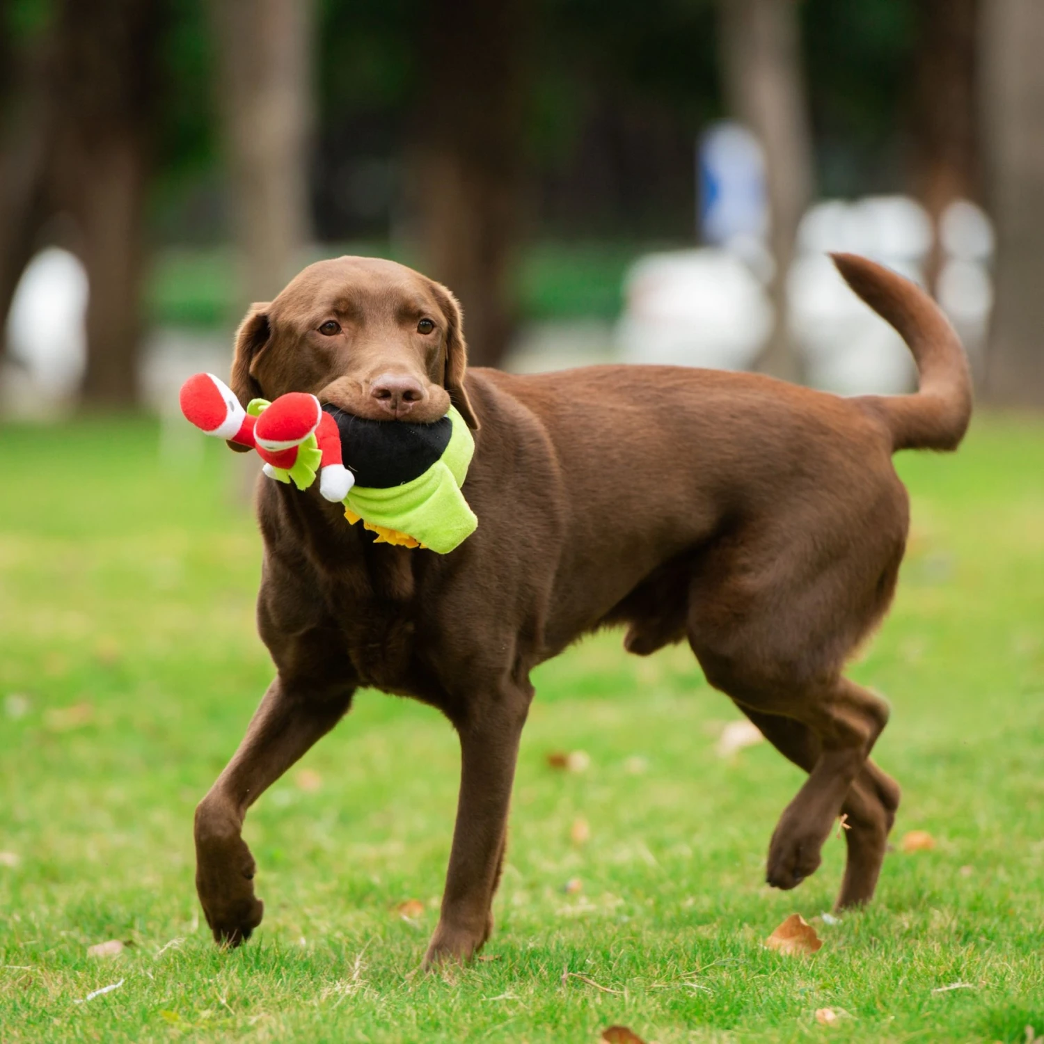 Fetch For Pets Warner Bros Marvin The Martian Large Big Head Plush Squeaky Dog Toy 7 Fetch For Pets Warner Bros Marvin The Martian Large Big Head Plush Squeaky Dog Toy - Image 5