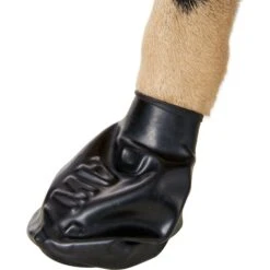 Pawz Waterproof Dog Boots, Black + 2 Items -Pet Dog Supply Store 728110 PT8. AC SS1800 V1669906950